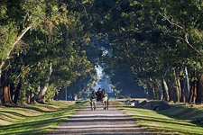 Argentina-Buenos Aires-Deluxe Buenos Aires Equestrian Escape